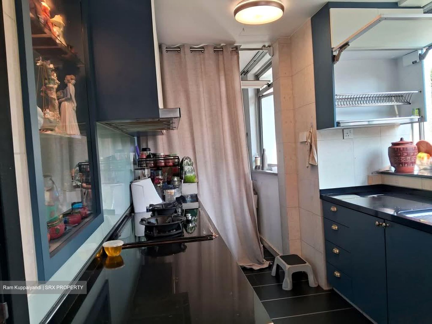Lakeholmz (D22), Condominium #579182481